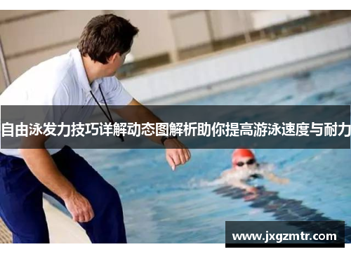 自由泳发力技巧详解动态图解析助你提高游泳速度与耐力