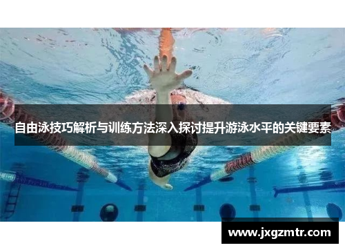 自由泳技巧解析与训练方法深入探讨提升游泳水平的关键要素