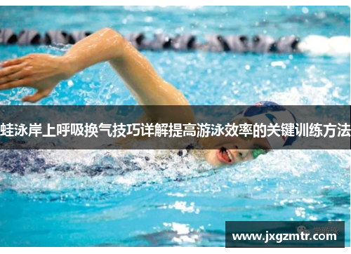蛙泳岸上呼吸换气技巧详解提高游泳效率的关键训练方法