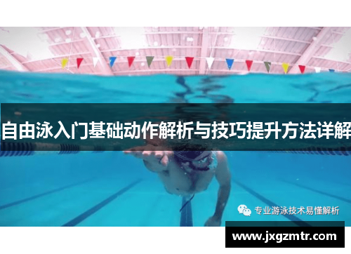 自由泳入门基础动作解析与技巧提升方法详解
